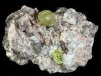 Apatite Crystals with Quartz - Durango, Mexico #64018-3